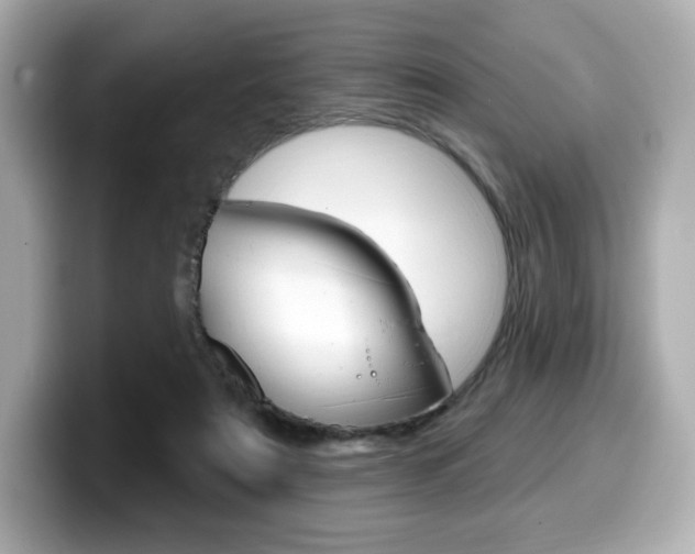 X0000099380307200805081205