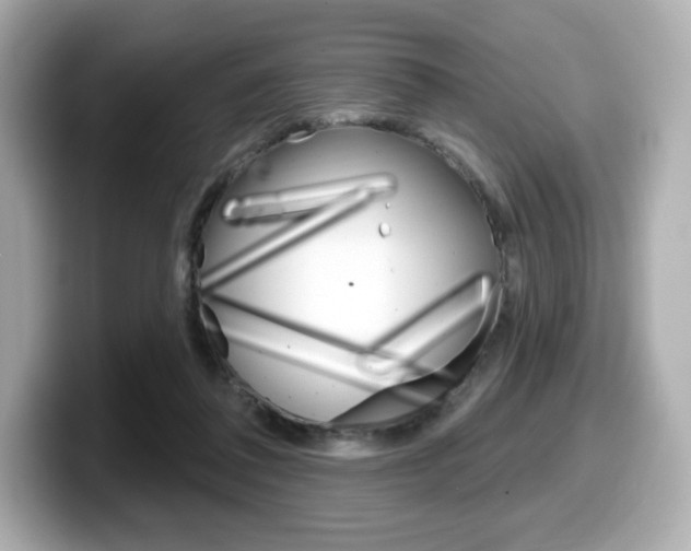 X0000099380308200805081205