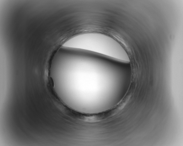 X0000099380309200805081205