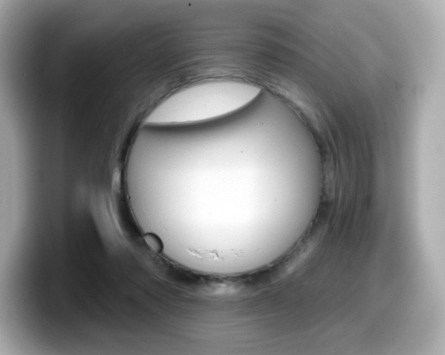 X0000099380310200805081205