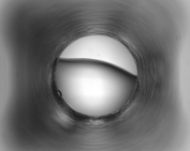 X0000099380311200805081205