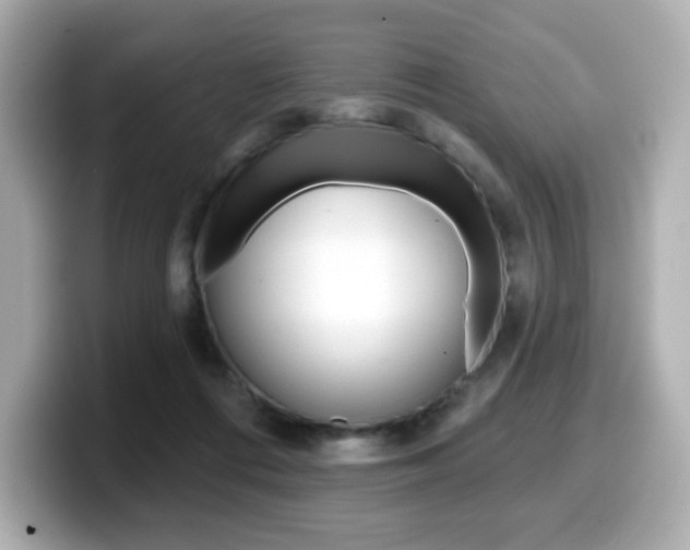 X0000099380312200805081205