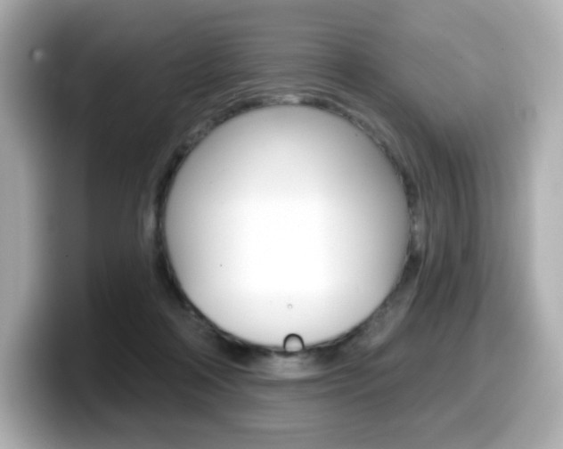 X0000099380314200805081205