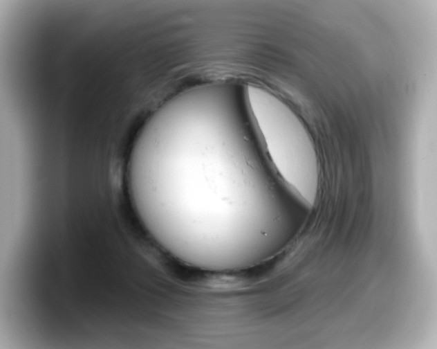 X0000099380315200805081205