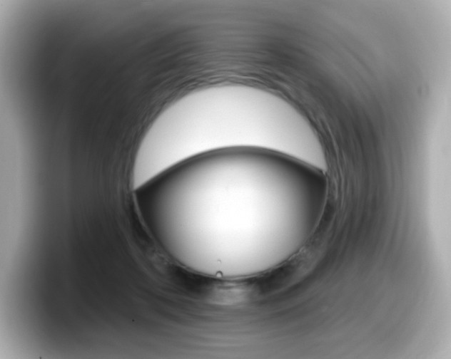 X0000099380316200805081205