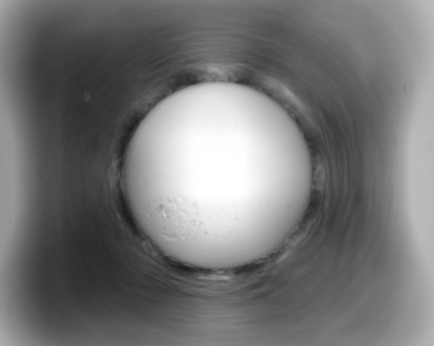 X0000099380318200805081205