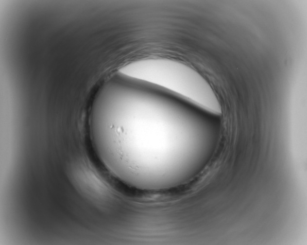 X0000099380319200805081205