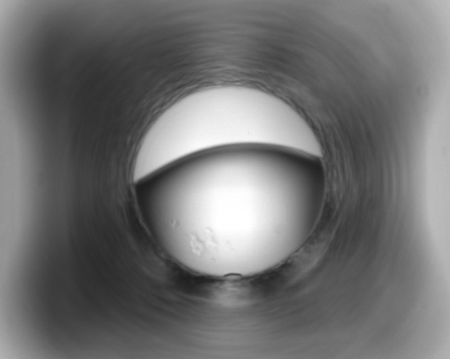 X0000099380320200805081205