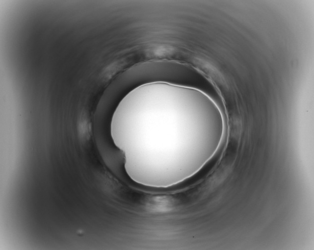 X0000099380324200805081205