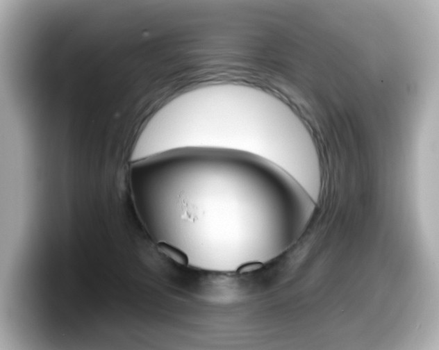 X0000099380325200805081204