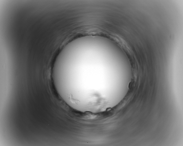 X0000099380326200805081204