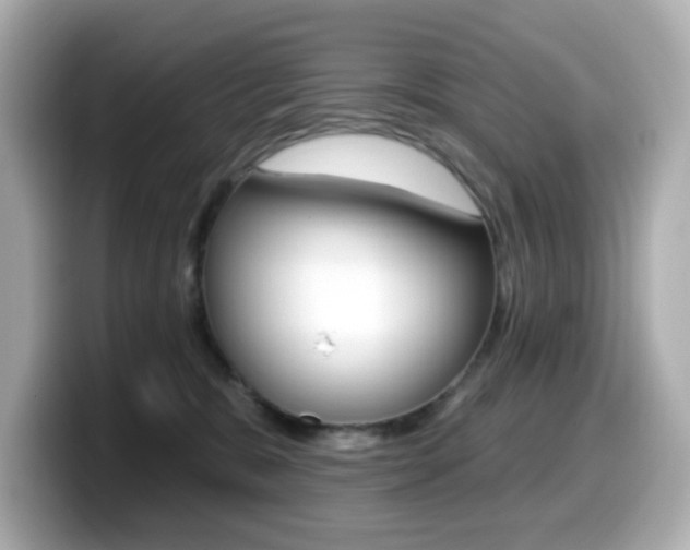 X0000099380327200805081204