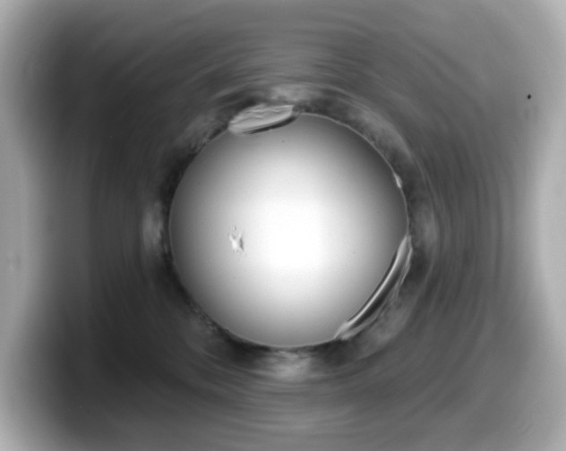 X0000099380328200805081204