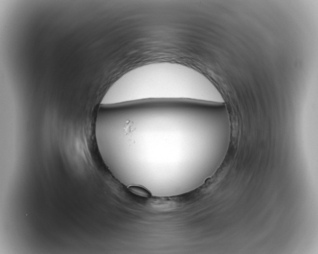 X0000099380331200805081204