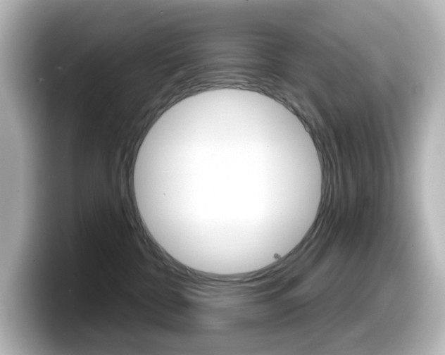 X0000099380332200805081204