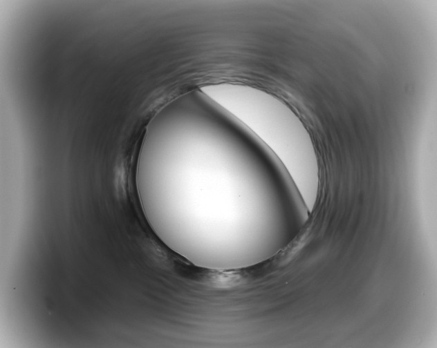 X0000099380333200805081204