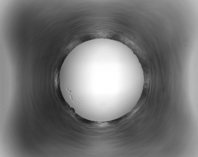 X0000099380334200805081204