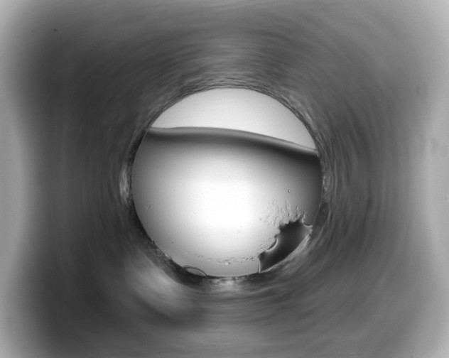 X0000099380335200805081204