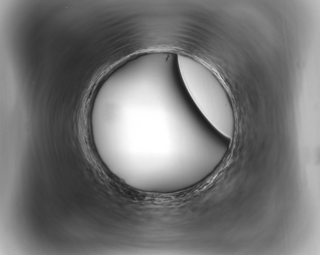 X0000099380337200805081204