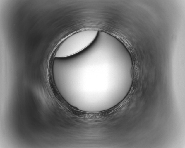 X0000099380338200805081204