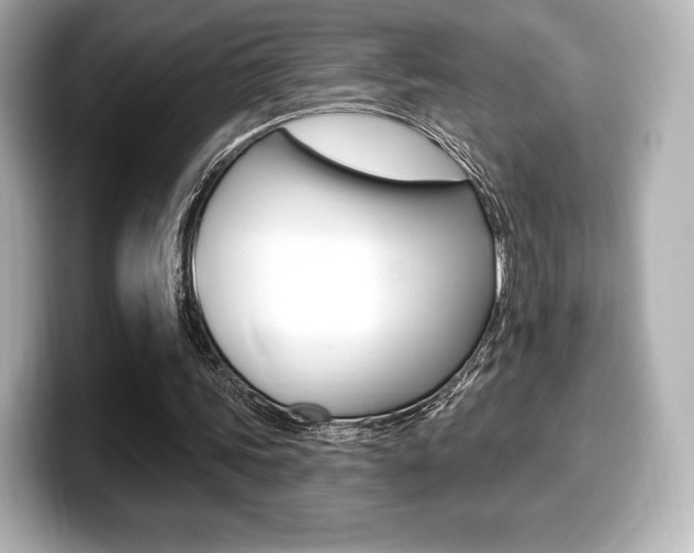 X0000099380339200805081204