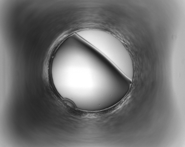 X0000099380341200805081204