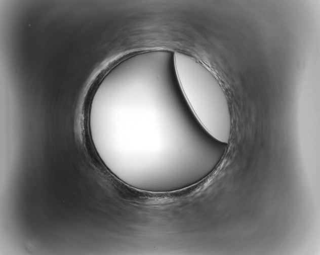 X0000099380342200805081204
