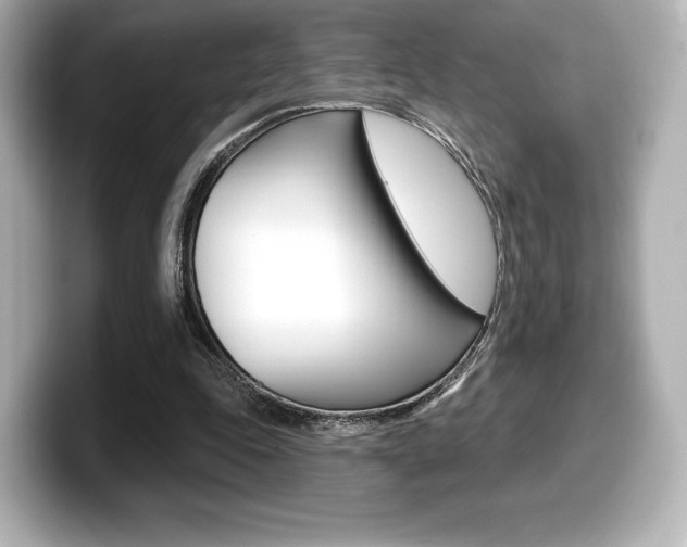 X0000099380343200805081204