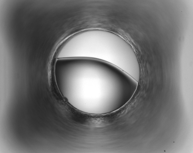 X0000099380344200805081204