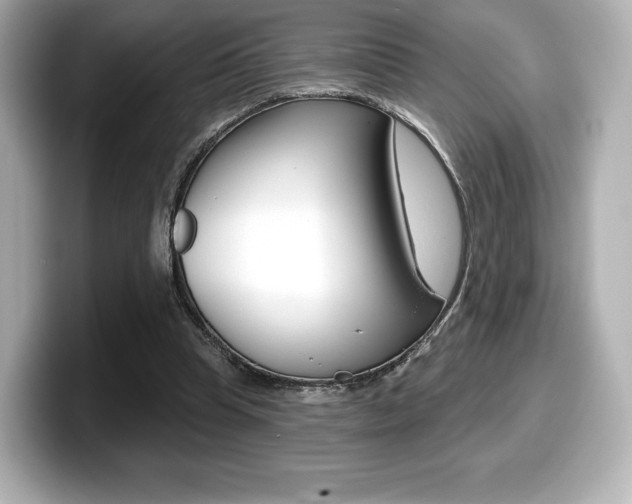 X0000099380345200805081204