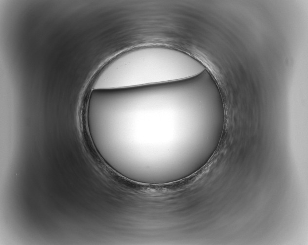X0000099380346200805081204