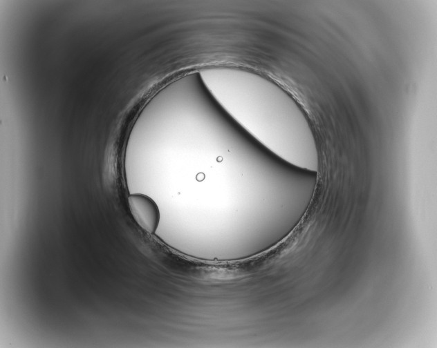 X0000099380347200805081204