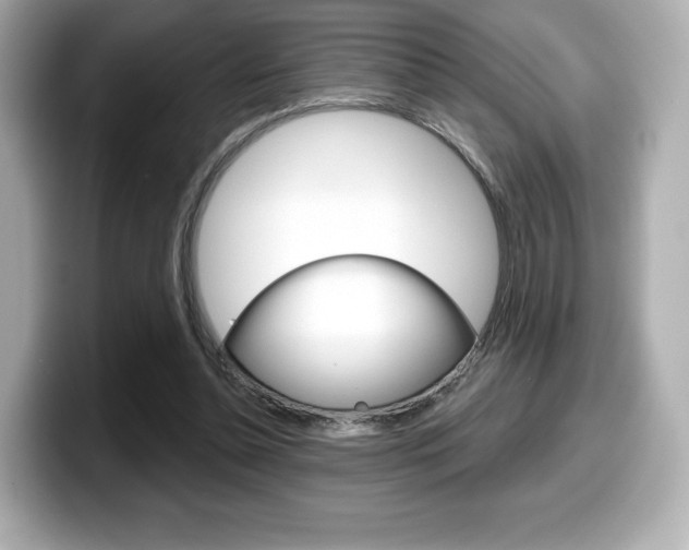 X0000099380348200805081204
