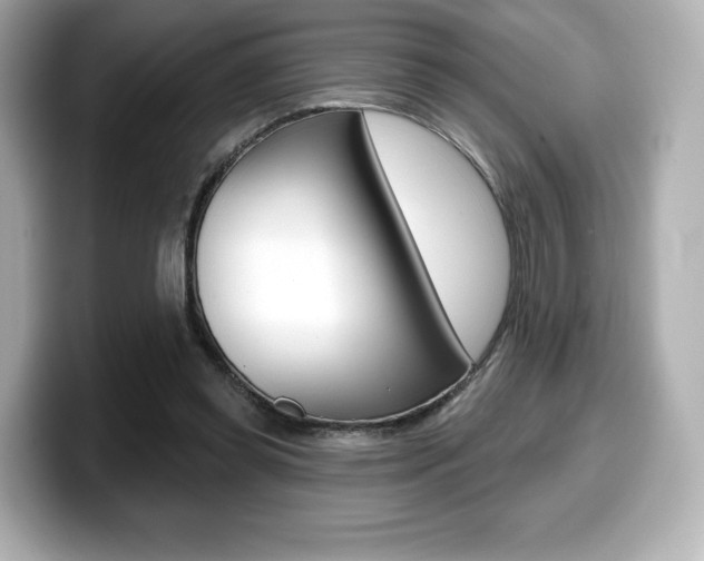 X0000099380349200805081204