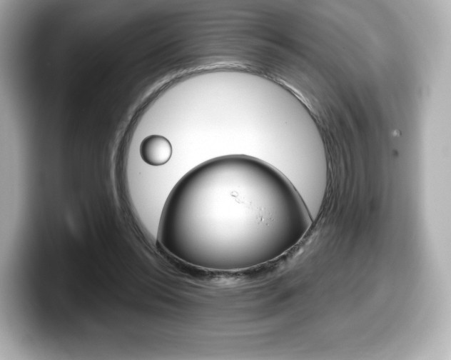 X0000099380350200805081204
