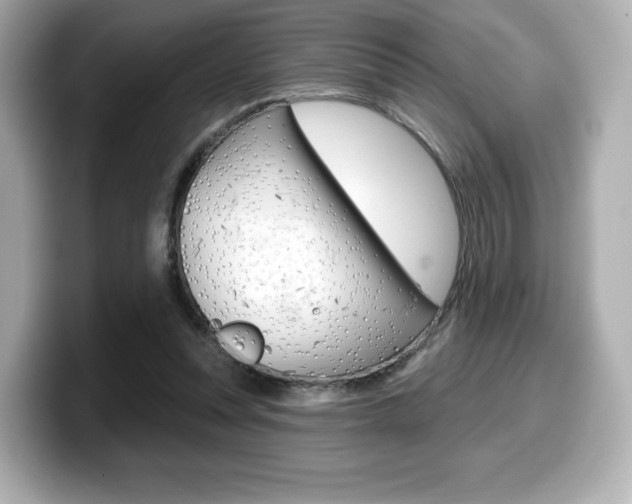 X0000099380351200805081204