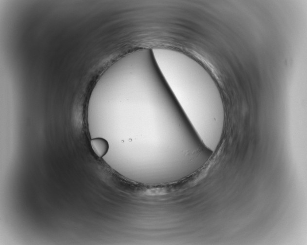 X0000099380353200805081204