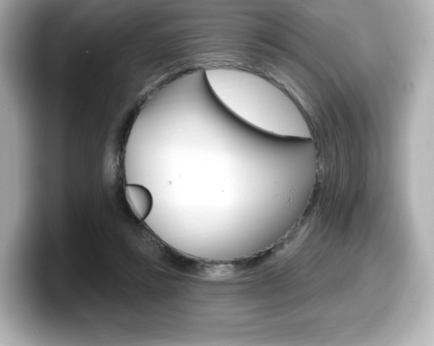 X0000099380355200805081204
