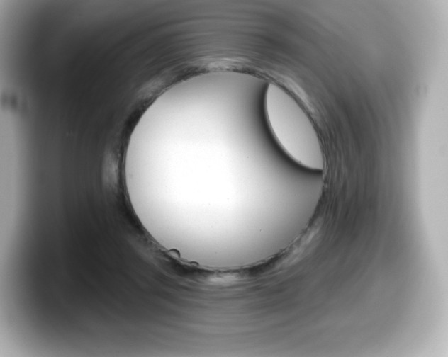 X0000099380357200805081204