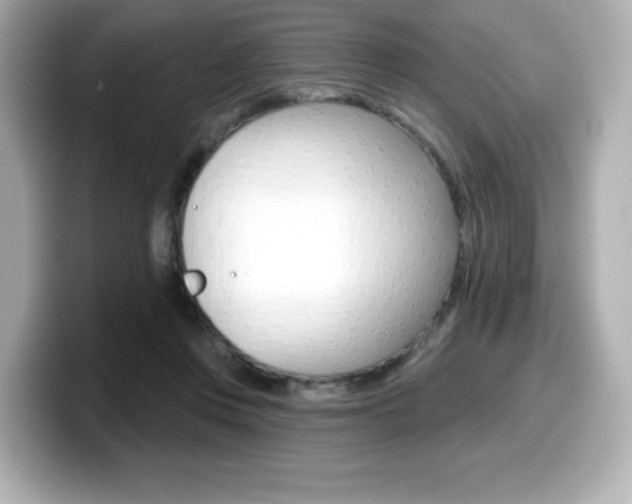 X0000099380359200805081204