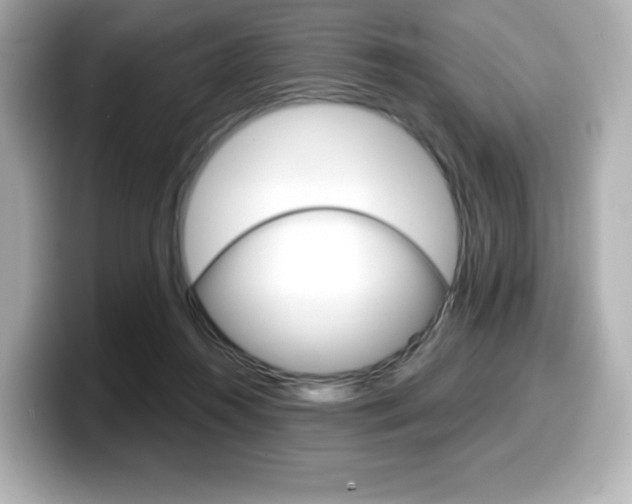 X0000099380360200805081204