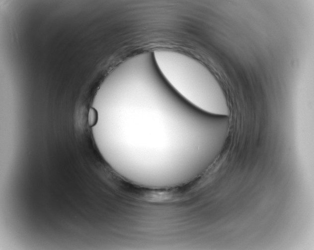 X0000099380361200805081204