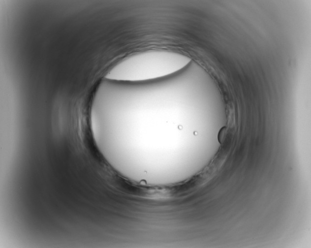 X0000099380363200805081204