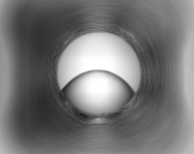 X0000099380364200805081204