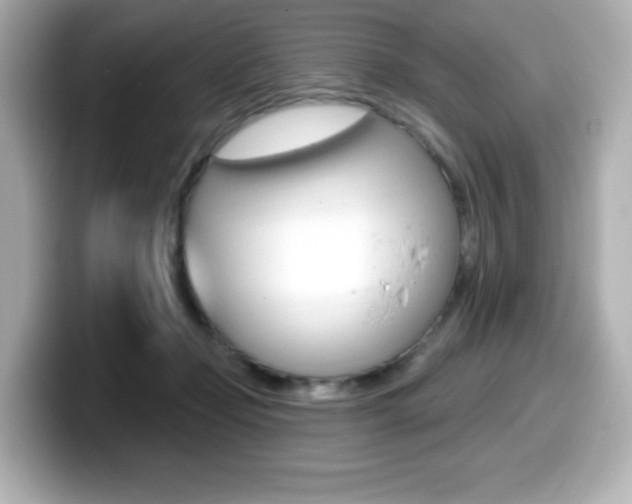 X0000099380365200805081204