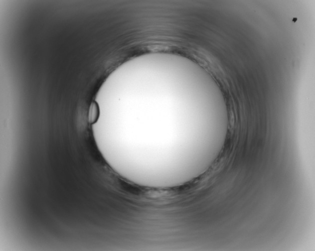X0000099380367200805081204