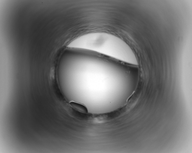X0000099380368200805081204