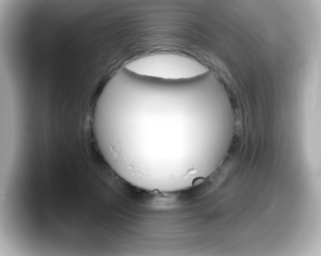 X0000099380369200805081204
