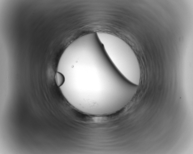 X0000099380371200805081204