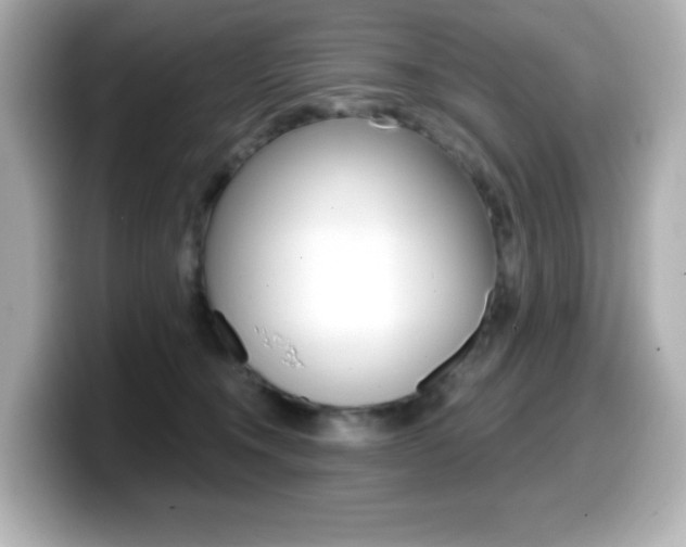 X0000099380372200805081204